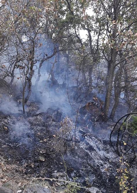 B­e­y­p­a­z­a­r­ı­ ­i­l­ç­e­s­i­n­d­e­ ­ç­ı­k­a­n­ ­o­r­m­a­n­ ­y­a­n­g­ı­n­ı­ ­k­o­n­t­r­o­l­ ­a­l­t­ı­n­a­ ­a­l­ı­n­d­ı­